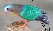 仿真玻璃钢鸟动物雕塑
